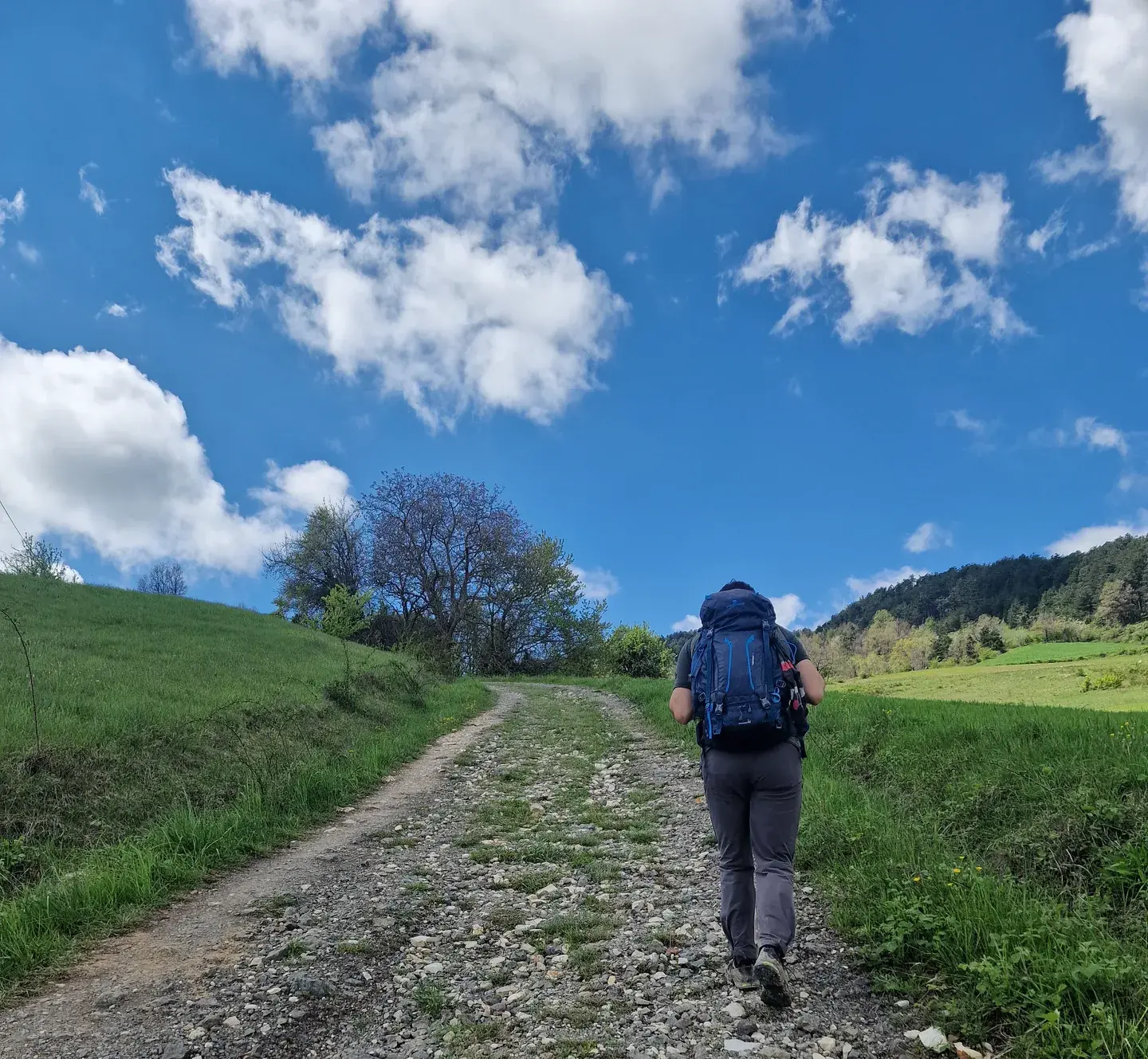 Le previsioni davano pioggia